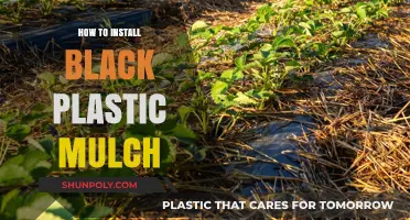 Black Plastic Mulch: Installation Guide for Beginners