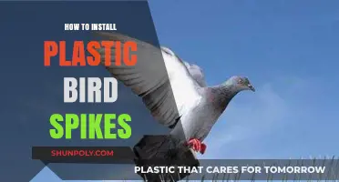 Installing Plastic Bird Spikes: A Simple Guide