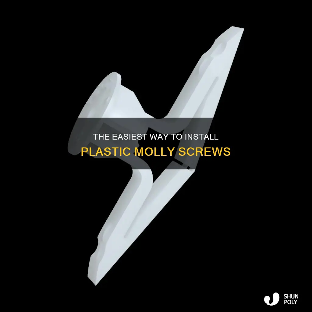 how to install plastic molly screw