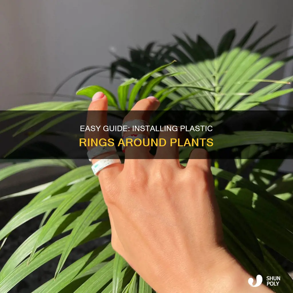 how to install plastic ring around plants