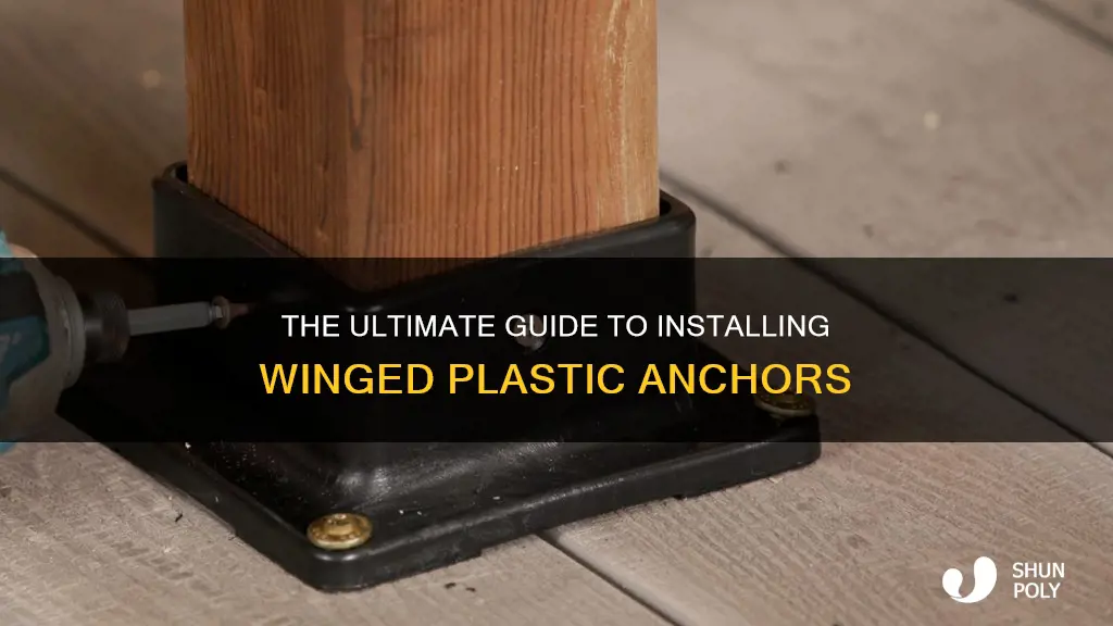 how to install winged plastic anchors