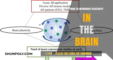 Unlocking Brain Plasticity: Methods to Enhance Neuroplasticity