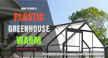 Keeping Your Plastic Greenhouse Warm: Tips and Tricks