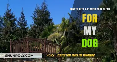 Easy Tips for Maintaining a Clean Plastic Dog Pool