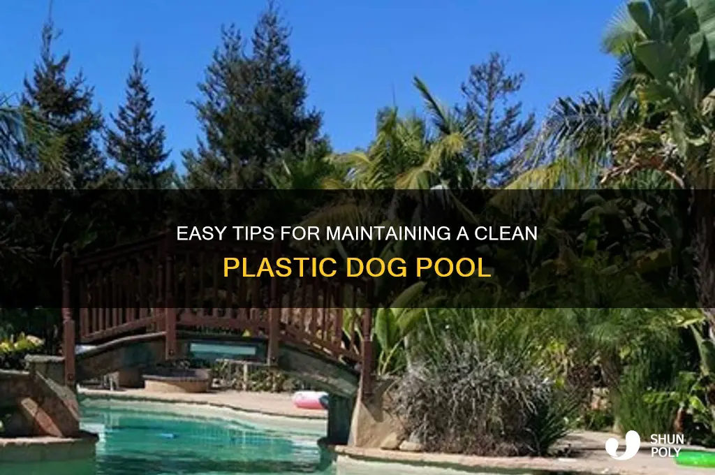 how to keep a plastic pool clean for my dog