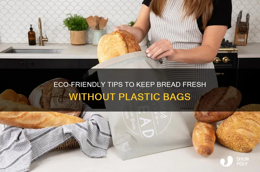 how to keep bread fresh without plastic bag