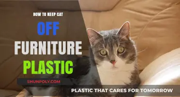 Keep Cats Off Furniture: Plastic Protection