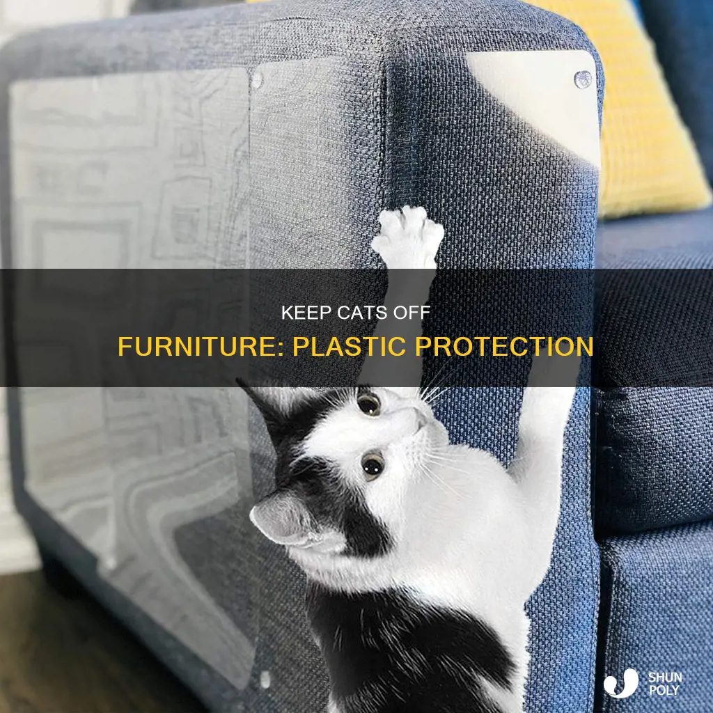 how to keep cat off furniture plastic