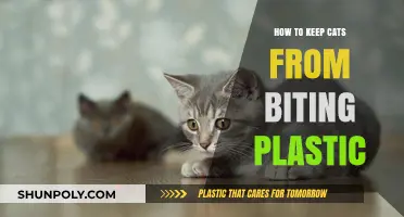Stop Cats Biting Plastic: Safe and Natural Solutions