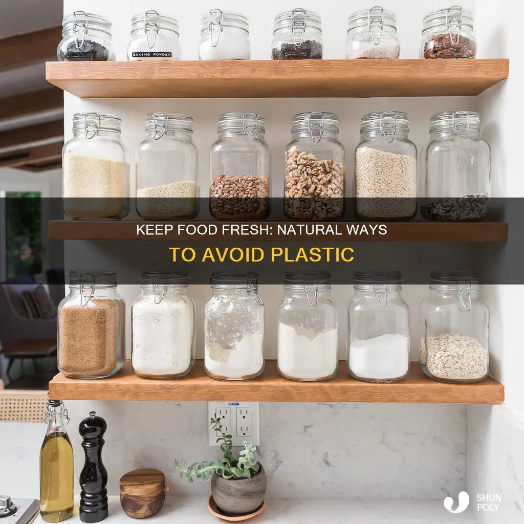 how to keep food fresh without plastic