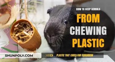 Prevent Gerbils From Chewing Plastic: Safe and Easy Tricks