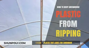 Protect Your Greenhouse Plastic: Avoid Rips and Tears