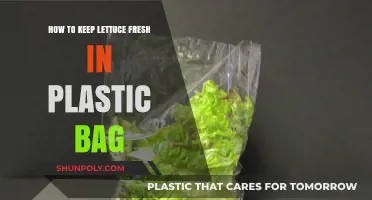 Keep Lettuce Crisp: Simple Tips for Plastic Bag Storage