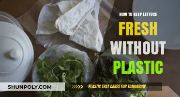 Keep Lettuce Fresh: Natural Ways to Store Lettuce