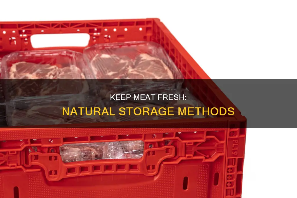 how to keep meat fresh without plastic