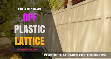 Preventing Mildew on Plastic Lattice: Effective Strategies