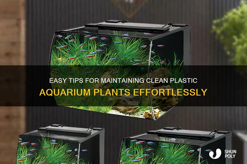 how to keep plastic aquarium plants clean