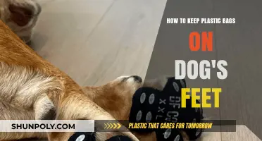 Protecting Paws: Simple Tips for Securing Plastic Bags on Dog's Feet