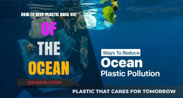 Preventing Plastic Bag Pollution: Simple Steps to Protect Our Oceans