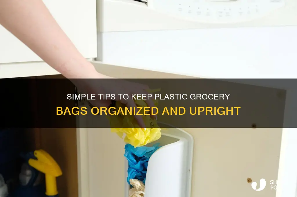 how to keep plastic grocery bag up