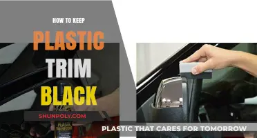 Black Trim Secrets: Keeping Plastic Trim Dark