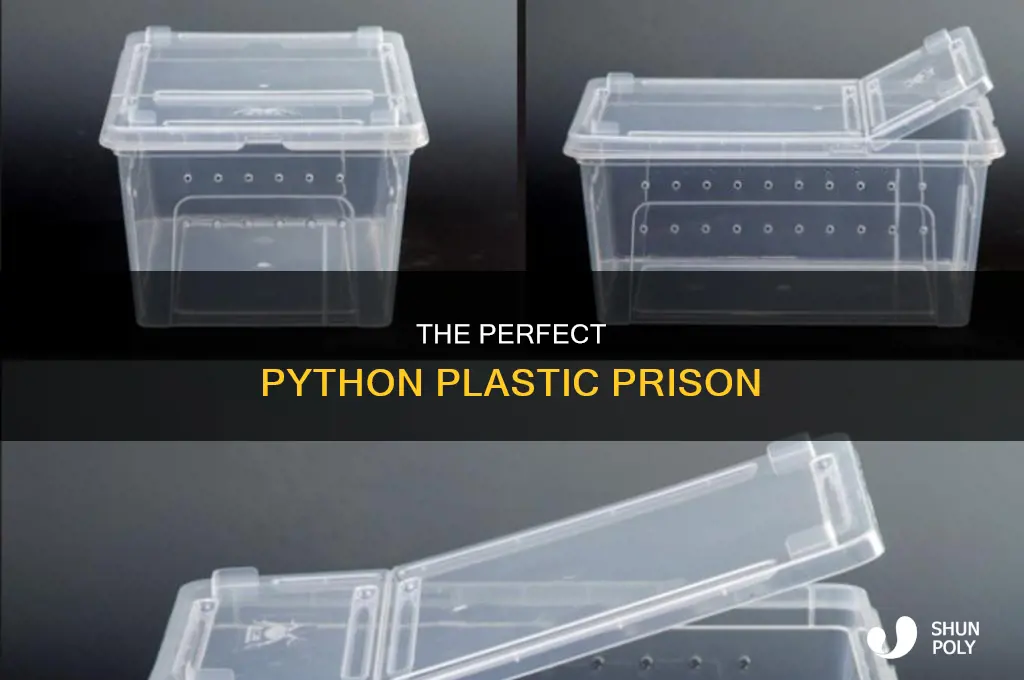how to keep pythons in plastic containers