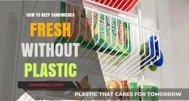 Keep Sandwiches Fresh: Eco-Friendly Wrapping Alternatives
