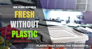 Keep Veggies Fresh: Plastic-Free Storage Solutions