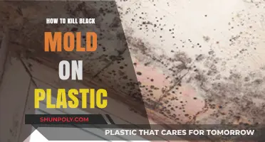 Eradicate Black Mold on Plastic: Effective Strategies
