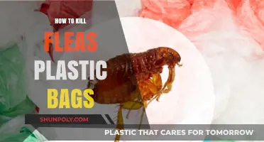 Effective Flea Elimination: Using Plastic Bags to Kill Fleas Safely