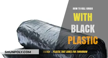 Killing Grass with Black Plastic: An Effective Method