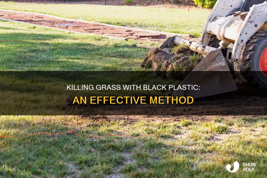 how to kill grass with black plastic