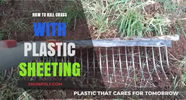Killing Grass with Plastic Sheeting: A Guide