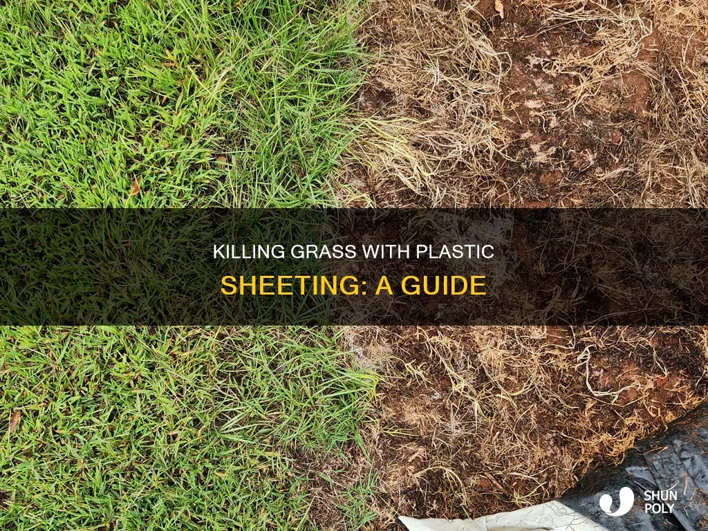 how to kill grass with plastic sheeting