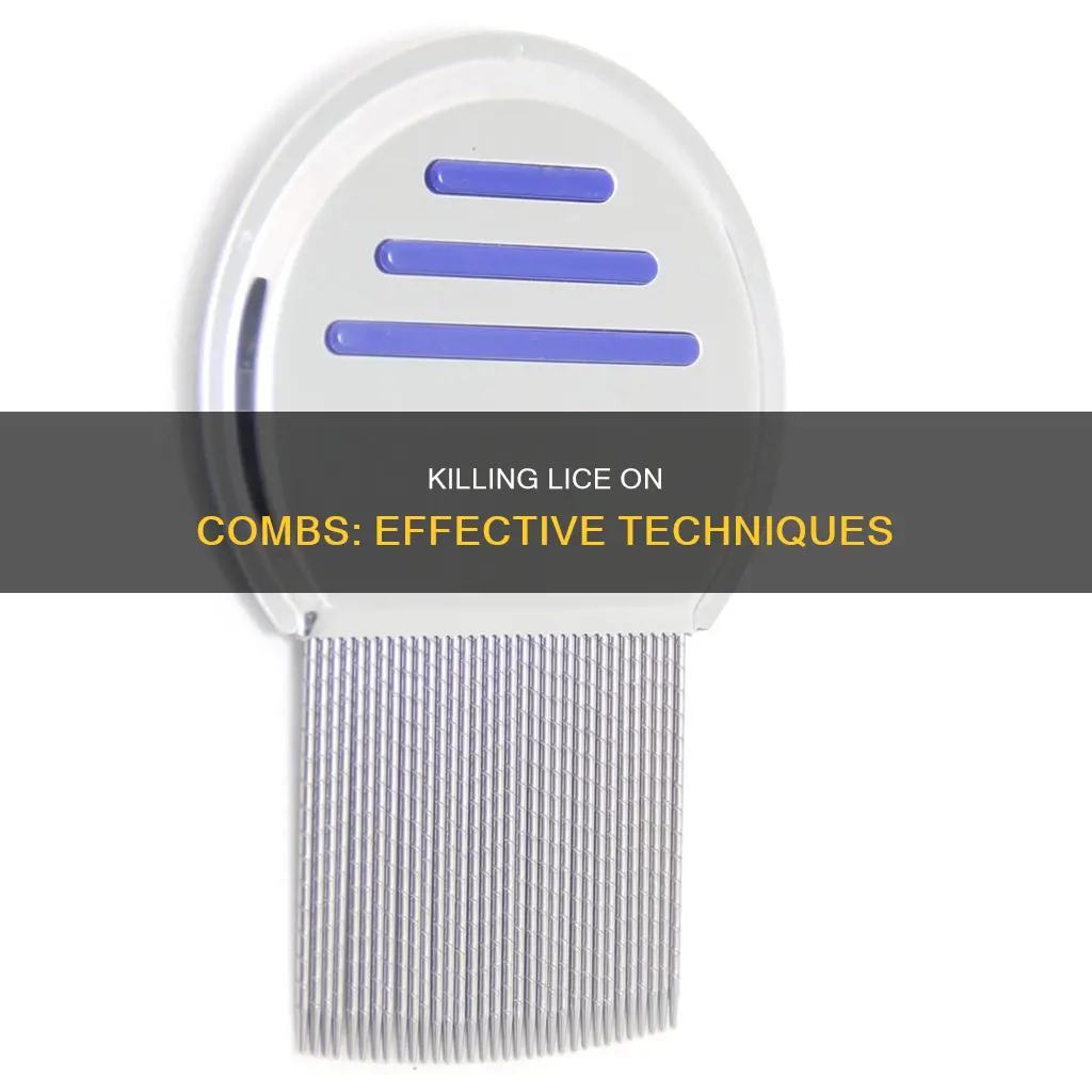 how to kill lice on plastic combs