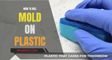 Killing Mold on Plastic: Effective Strategies for Success
