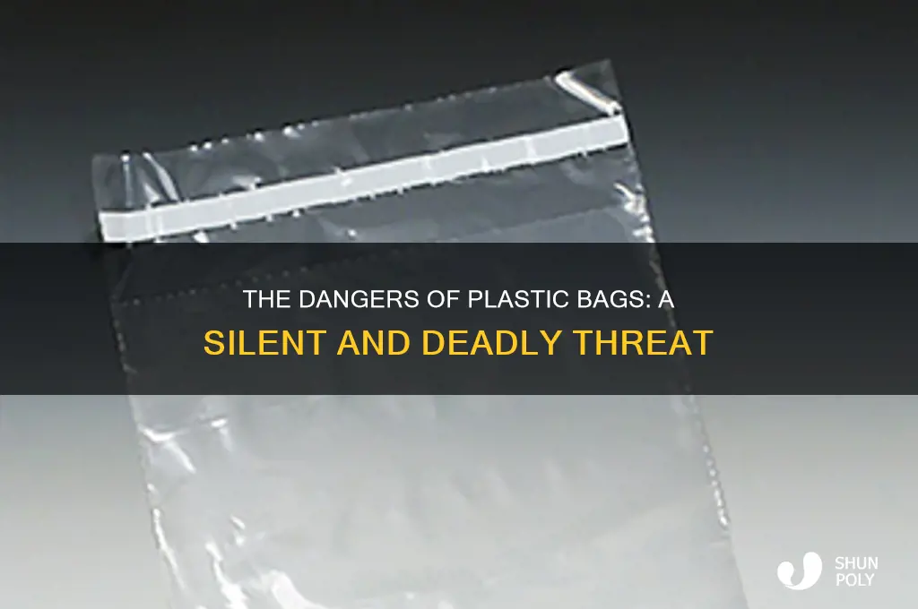 how to kill yourself with plastic bag