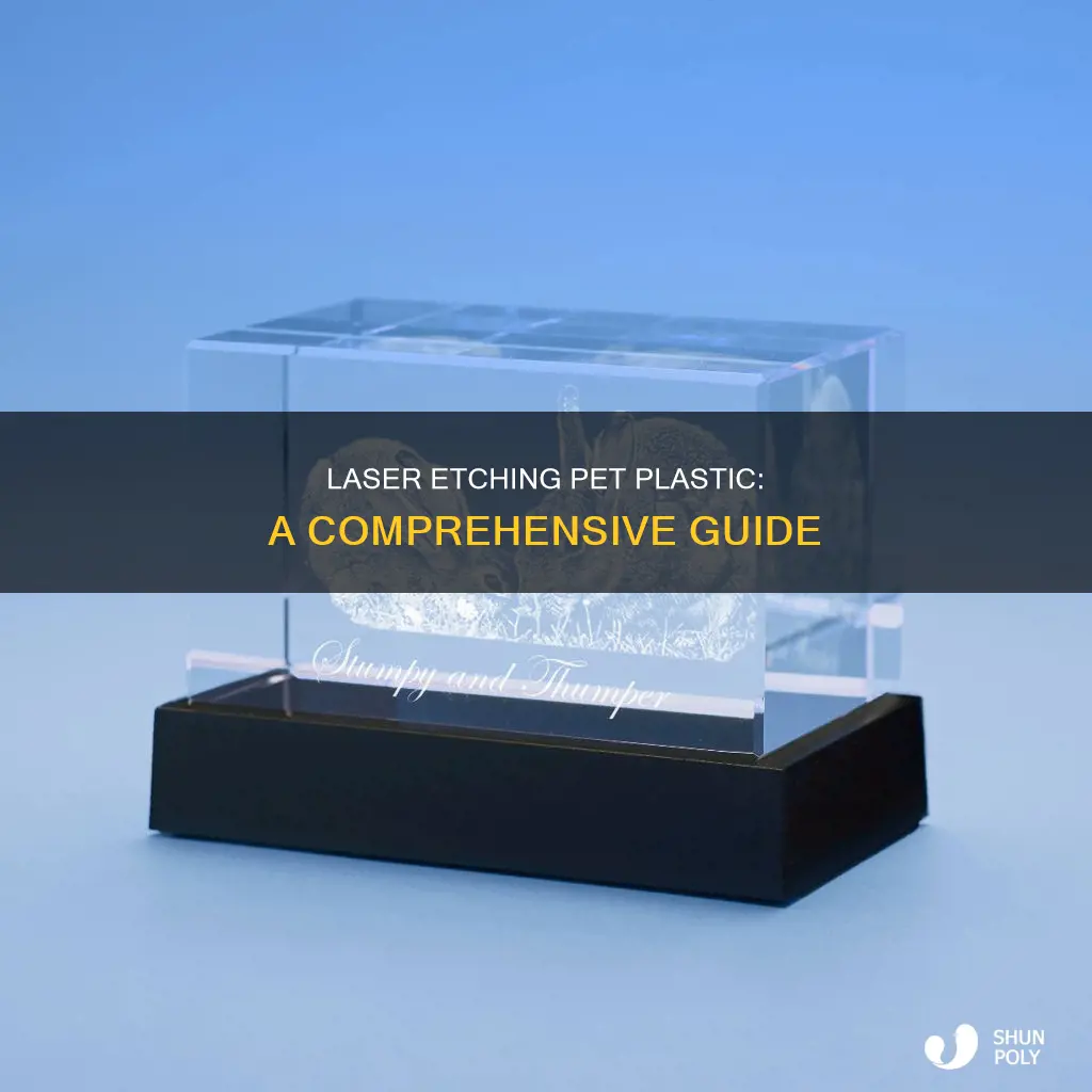 how to laser etch pet plastic