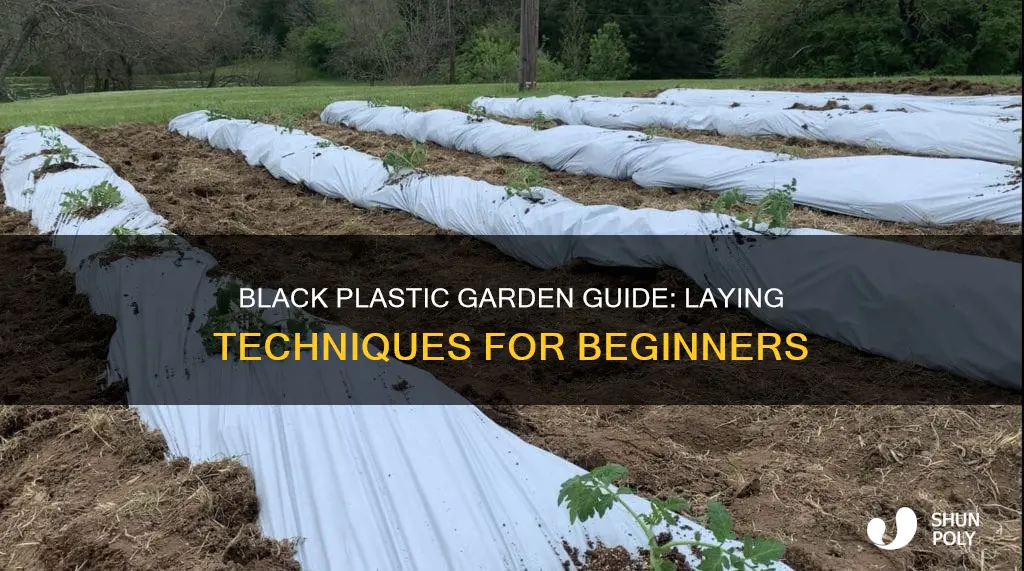 how to lay black plastic in garden