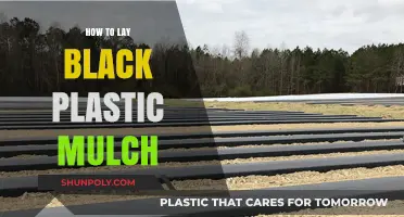 Black Plastic Mulch: Laying the Perfect Foundation