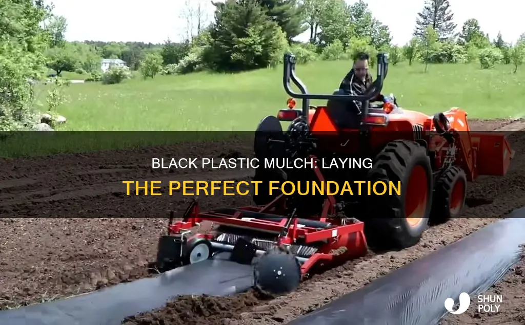 how to lay black plastic mulch