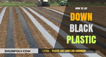 The Perfect Guide to Laying Black Plastic