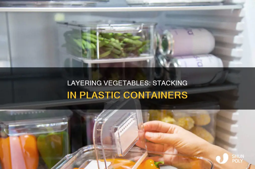 how to layer vegetables in a plastic storage containers