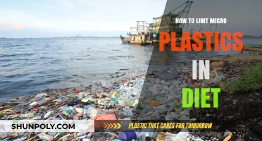 Limiting Microplastics in Your Diet: A Guide