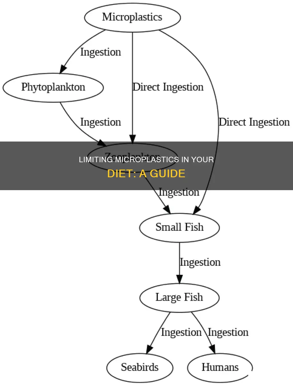 how to limt micro plastics in diet