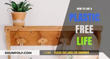 Living Plastic-Free: A Guide to Reducing Your Plastic Waste