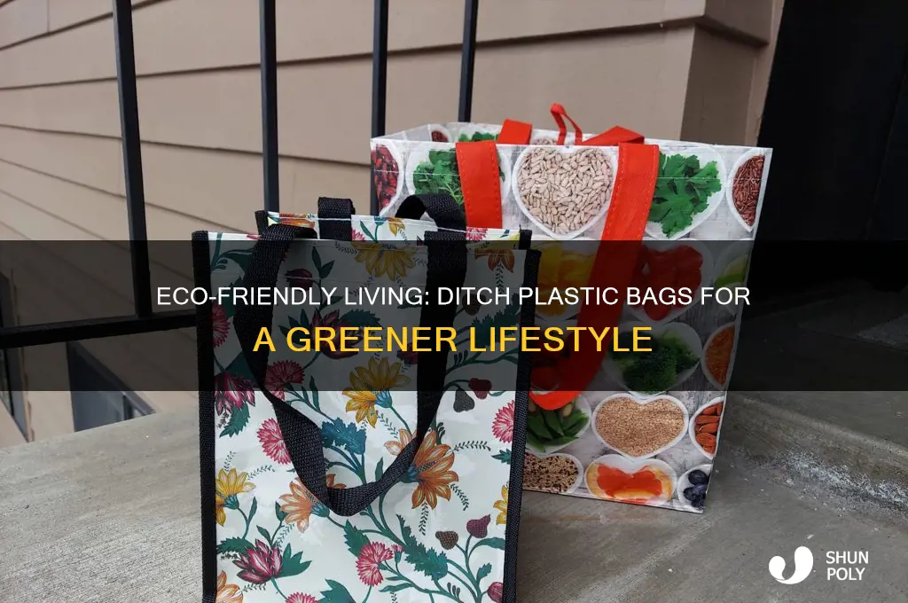 how to live without plastic bags