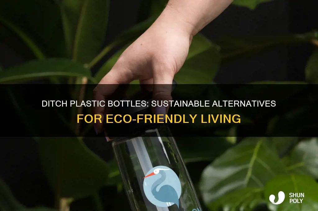 how to live without plastic bottles
