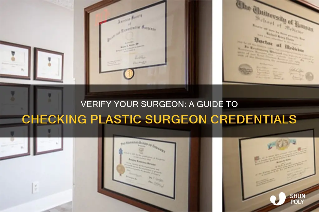 how to look up plastic surgeon
