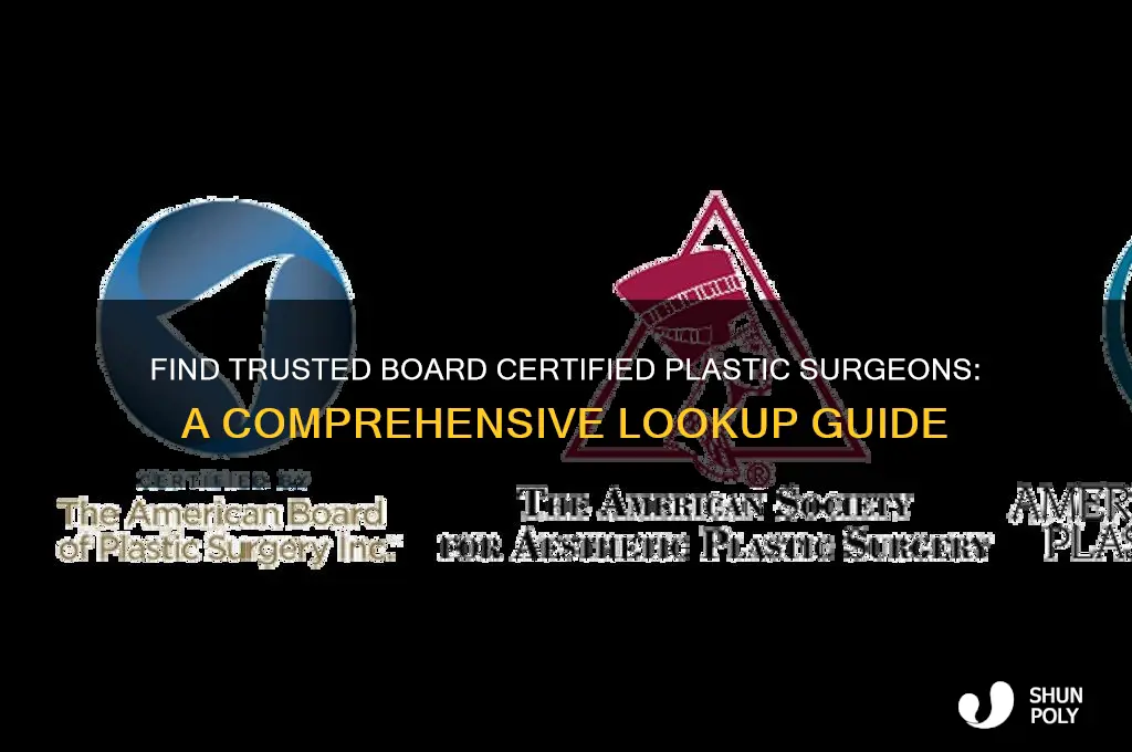 how to lookup board certified plastic surgeons